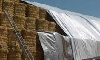 Чи можуть комбікорми замінити сіно? Порівняння, наслідки та роль сіна в раціоні великої рогатої худоби