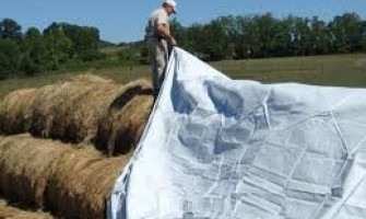 Сіно і солома: у чому різниця, користь і застосування у господарстві