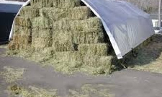 Укриття сіна: чому воно псується і чому варто використовувати тарпаулін